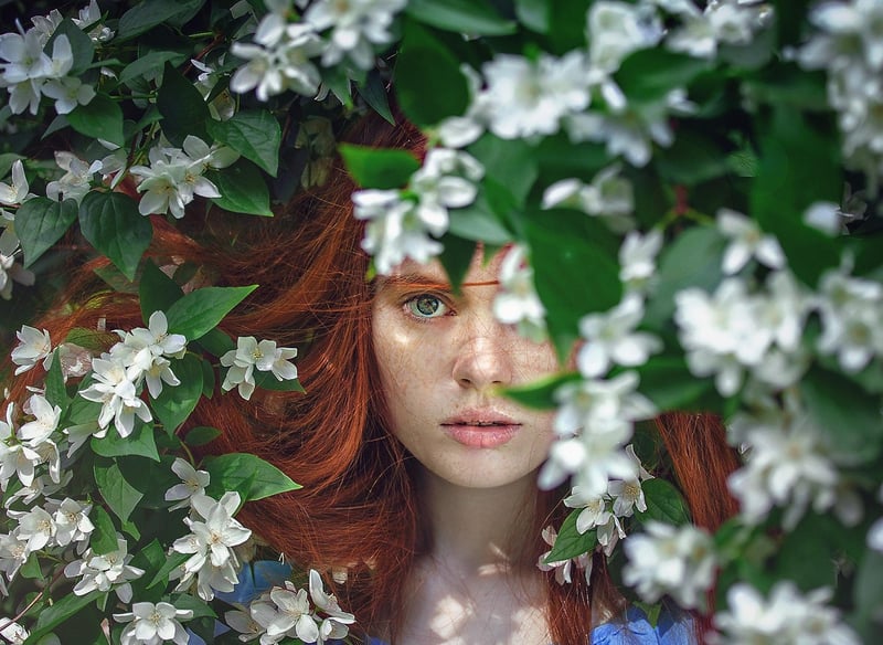 Herbal Enchantment