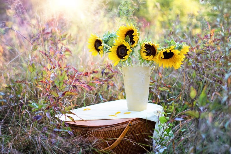Flower Elixirs